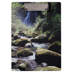 Oregon, Siskiyou National Forest, Elk Creek Klemmbrett