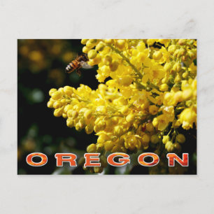 Oregon Staat Blume: Oregon Trauben Postkarte
