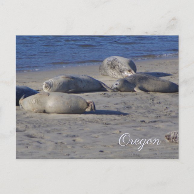 Oregon Staat Postkarte (Vorderseite)
