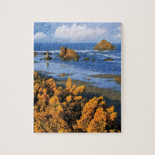 Oregon Strandblick in Bandon