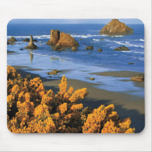 Oregon Strandblick in Bandon Mousepad