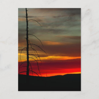 Oregon Sunrise Postkarte