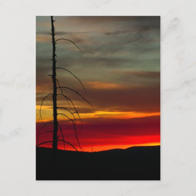Oregon Sunrise Postkarte (Vorderseite)