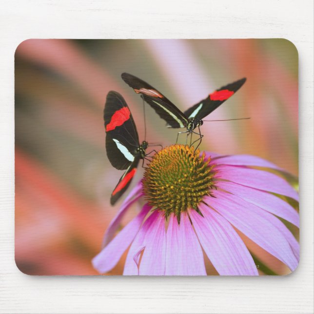 oregon, usa 3 mousepad (Vorne)