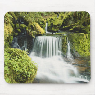 Oregon, Wasserfall im Willamette-Nationalpark Mousepad
