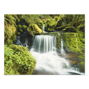 Oregon, Wasserfall in Willamette national Fotodruck