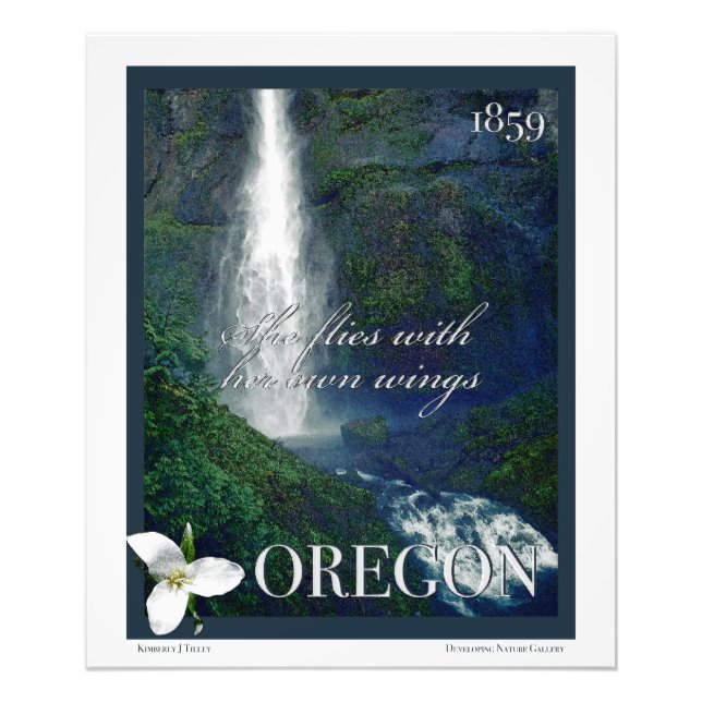 Oregon Waterfall Poster (Vorne)