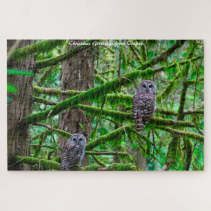 Oregon Wild Owl's.Weihnachtsgrüße