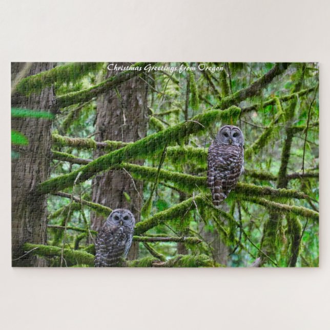 Oregon Wild Owl's.Weihnachtsgrüße (Horizontal)