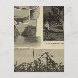 Oregon, wo jede Aussicht gefällt Postkarte