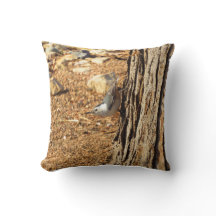 Oreillard à poitrine blanche Coussin de jet