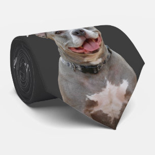Oreille de Pitbull à la cravate de sourire