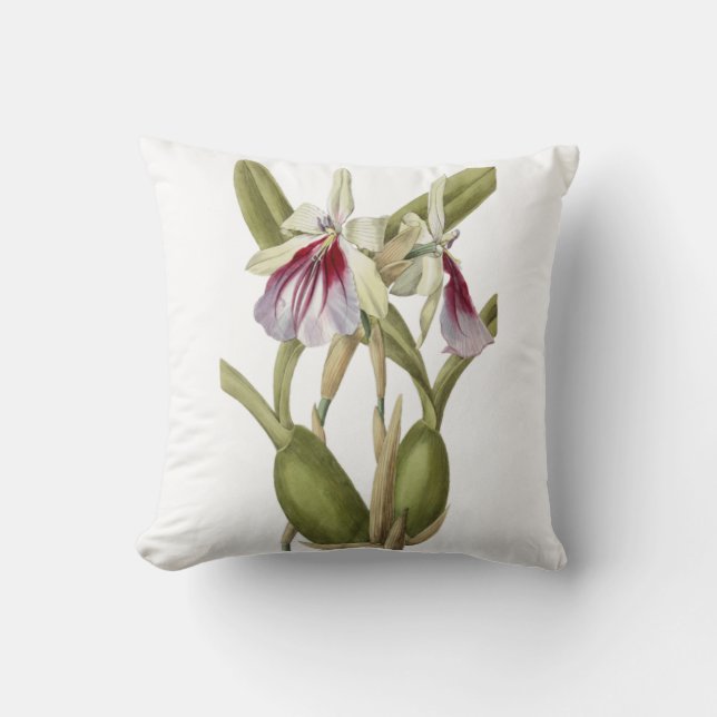 oreiller à jetons botaniques pour orchidées Milton (Recto)