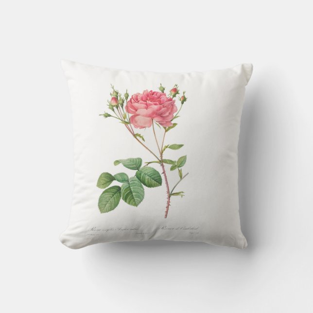 Oreiller à laine de rose rose preppy (Recto)