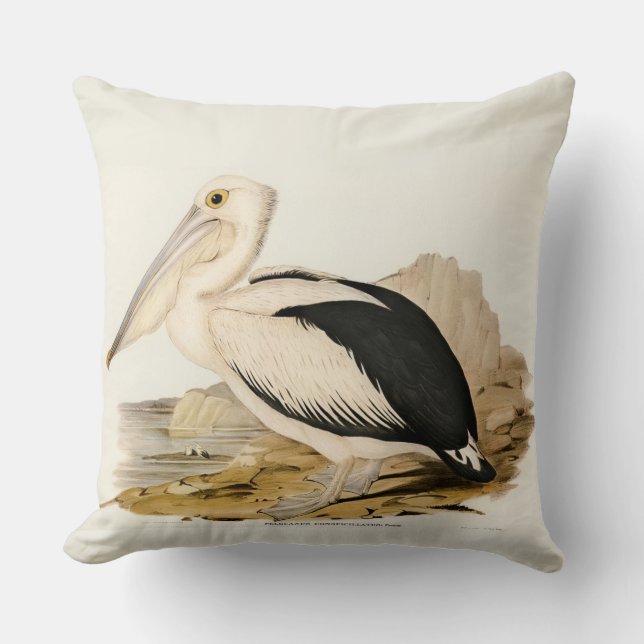 Oreiller à lancer carré Pelican à simple face (Recto)