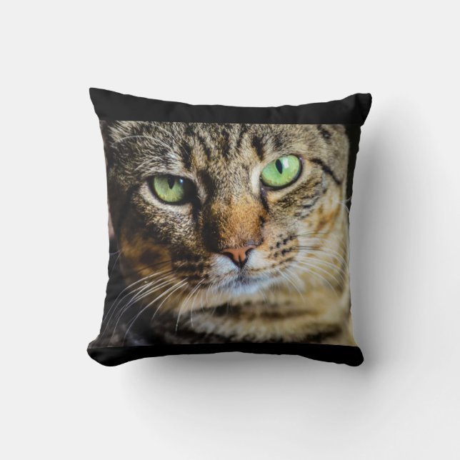 Oreiller à lancer de chat Tabby (Recto)