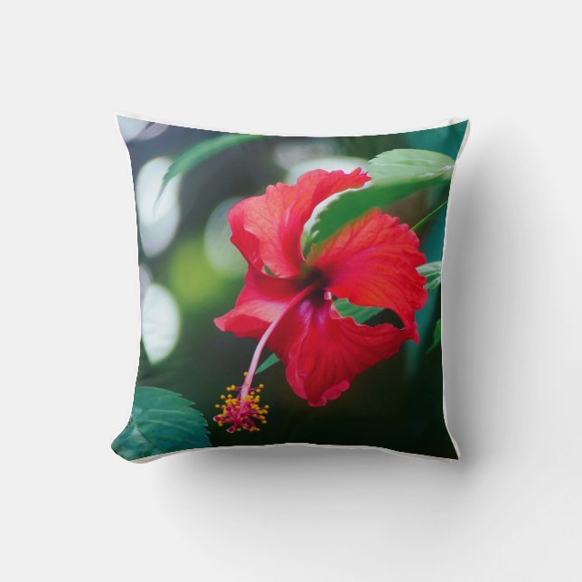 Oreiller à lancer Hibiscus (Recto)