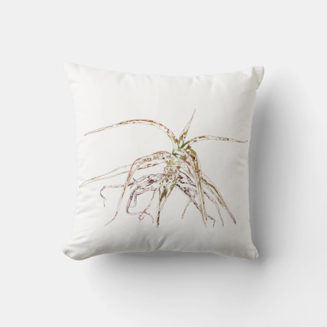 Oreiller de Coussin de Plante Succulente d'Aloe St (Recto)