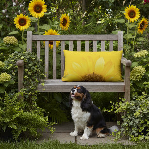 Oreiller de soleil jaune extérieur