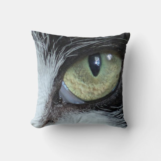 Oreiller de Xylo (Recto)