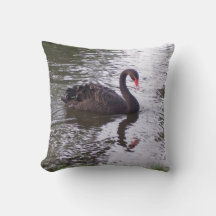 Oreiller jeté Black Swan