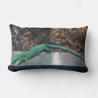 Oreiller Lézard Ventru Vert