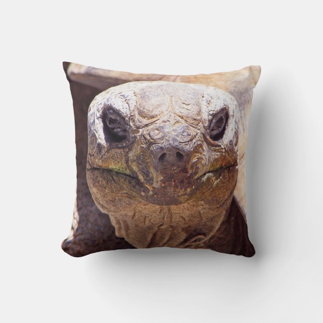 Oreiller Tortue Cool ! (Recto)
