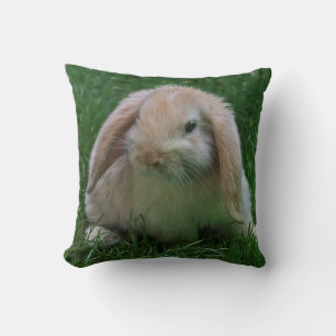 Oreiller Wascally Wabbit