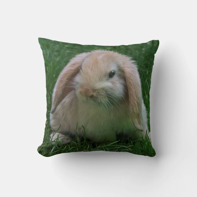 Oreiller Wascally Wabbit (Recto)