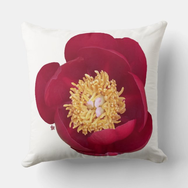 Oreillers à lancer de pivoine rouge profonde (Verso)