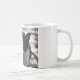 Oreo Katze Kaffeetasse