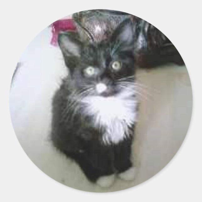 "OREO" RUNDER AUFKLEBER (Vorderseite)