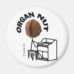 Organ-Nuss Magnet