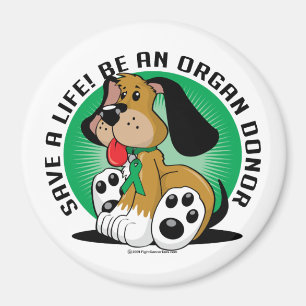 Organ-Spender-Hund Magnet
