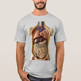Organanatomie Transparente Person T - Shirt
