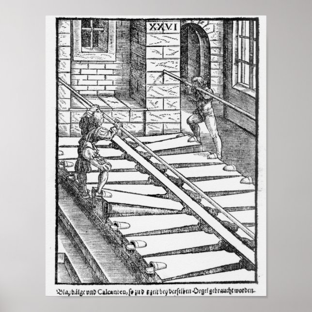 Organbläschen Poster (Vorne)