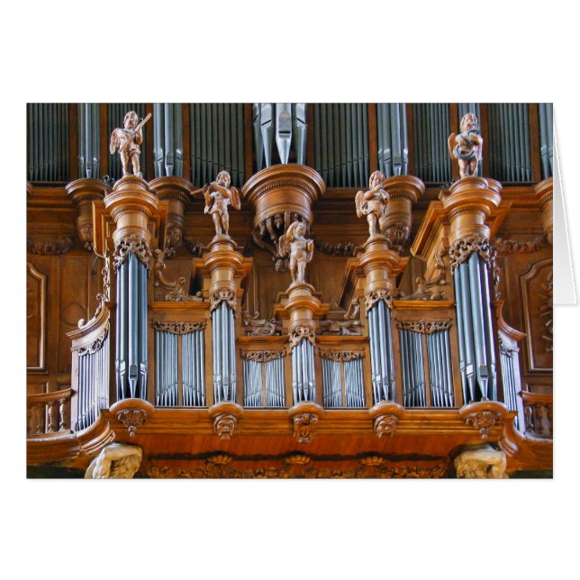 Organe de cathédrale d'Albi, France (Devant horizontal)