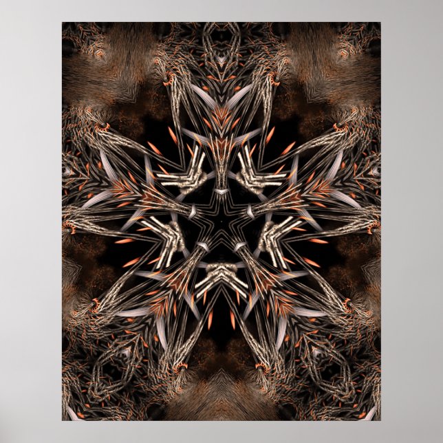 Organicstar Poster (Vorne)