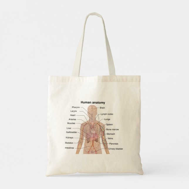 Organinterne Anatomie des menschlichen Körpers Tragetasche (Rückseite)