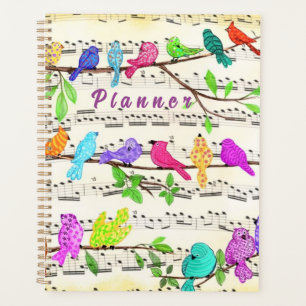 Organisateur d'oiseaux musicaux colorés