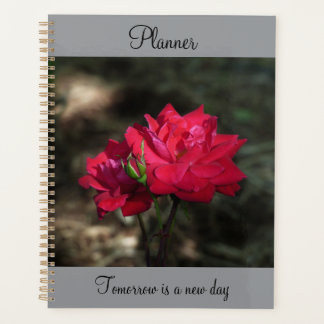Organiseur Rose Rouge