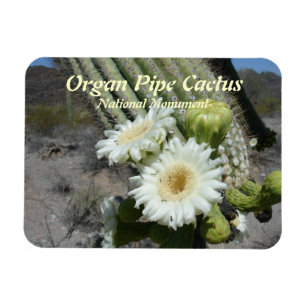 Orgelpfeife Cactus National Monument Magnet