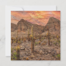Orgelpfeifenkaktus auf Holzmaserung Sonnenuntergan