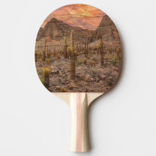 Orgelpfeifenkaktus auf Holzmaserung Sonnenuntergan Tischtennis Schläger