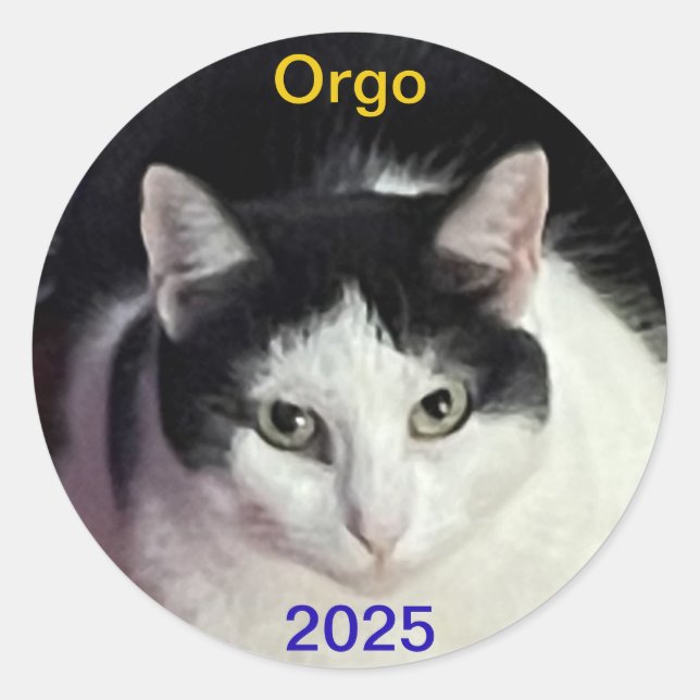 ORGO-Katze Runder Aufkleber (Vorderseite)