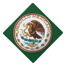 Orgullo Mexicano mexikanisches Flaggendesign