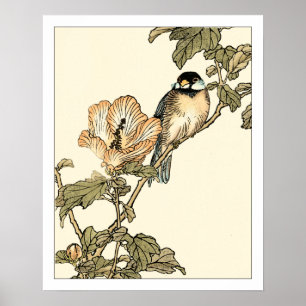 Oriental Bird Perched on Branch Poster