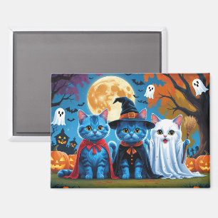 Oriental Blue Cats Pumpkin Halloween Funny Magnet