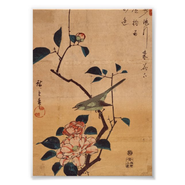 Oriental Camellia und Warbler Fotodruck (Vorne)
