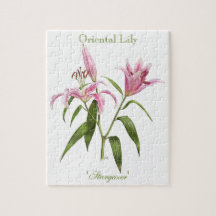 Oriental Lily - Stargazer